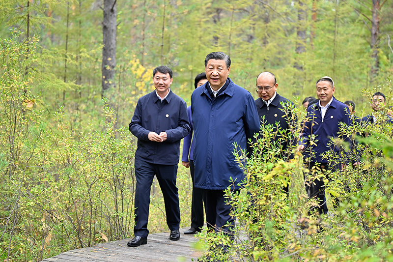 9月6日至8日，中共中央總書記、國(guó)家主席、中央軍委主席習(xí)近平在黑龍江考察。這是6日下午，習(xí)近平在大興安嶺地區(qū)漠河市漠河林場(chǎng)自然林區(qū)考察